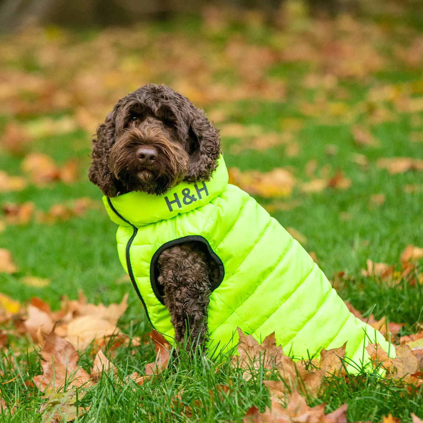 Hugo & Hudson Reversible Green & Navy Puffer Jacket