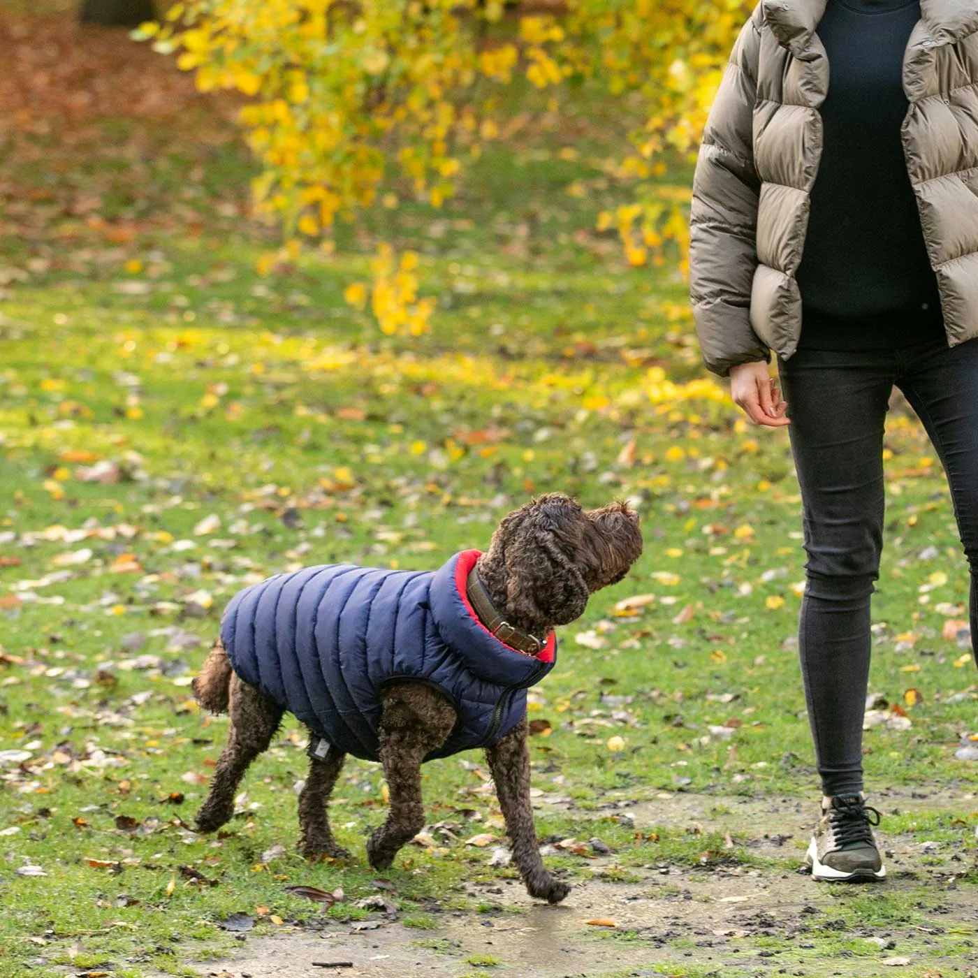 Hugo & Hudson Reversible Red & Navy Puffer Jacket