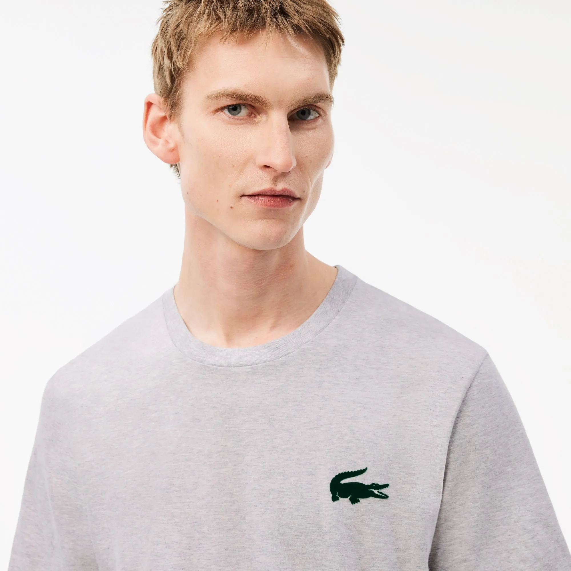 Lacoste Men's Loungewear T-Shirt - Silver Chine/Green