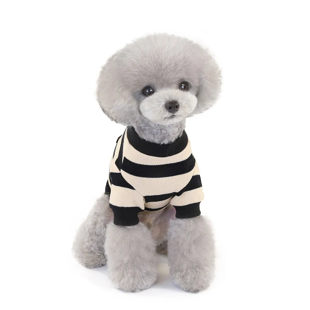 Winter sweater puppy cat pet clothing