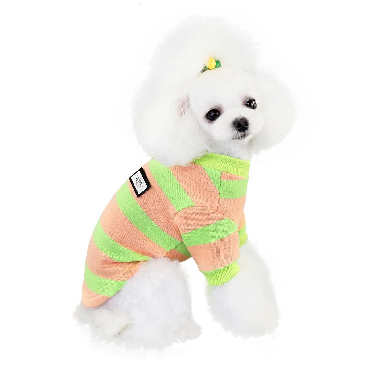 Winter sweater puppy cat pet clothing